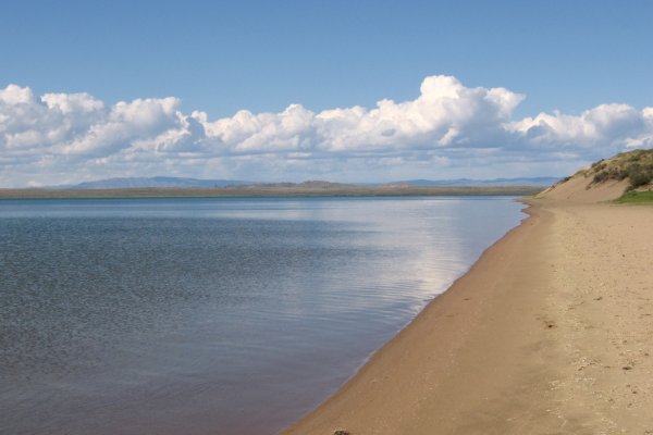 Кракен даркнет рекламы