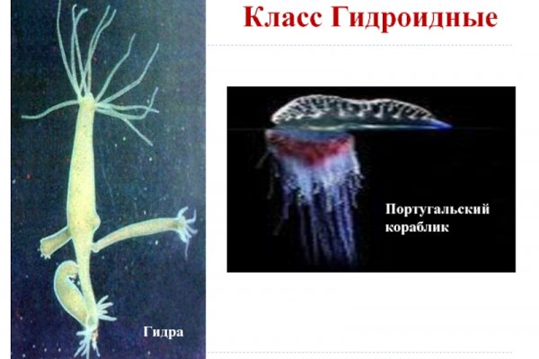 Кракен маркет это